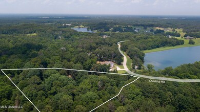 Lot 29 Chestnut Hill-7a