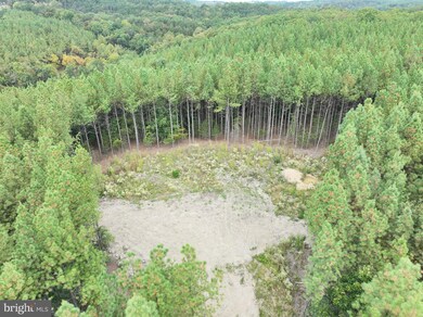 26.89 AC N Texas Rd, Delray, WV 26714 - photo 5