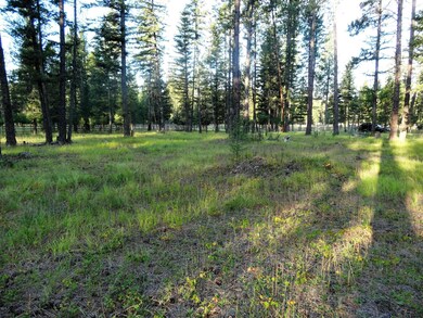 453 Kelley Dr, Big Fork, MT 59911 - photo 7