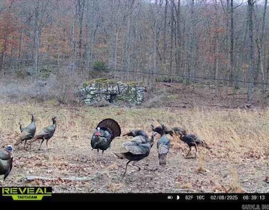 0 Cr 961 Rd unit 25047250, Green Forest, AR 72638 - photo 4