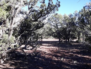 Lot 68b Juniperwood Ranch, Ash Fork, AZ 86320 - photo 7