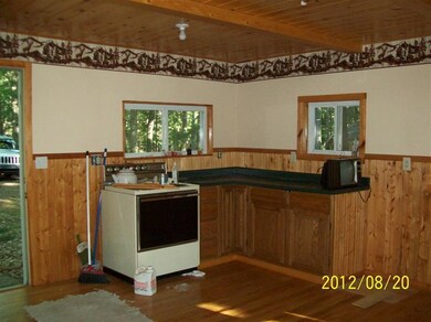 9523 N Nichols Dr, Bitely, MI 49309 - photo 2