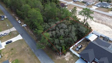 0 SW 151st Place unit MFRO6273638, Ocala, FL 34473 - photo 3