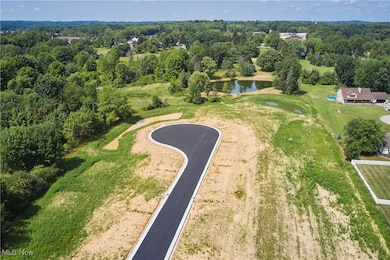 2910 S/L 17 Willow Way, Norton, OH 44203 - photo 3