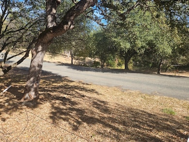 Back of property.  Road is used by maintenance vehicles.  Not a public road.  Lake Oroville on the other side of the trees.