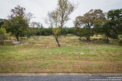 8811 Falcon Place, San Antonio, TX 78256 - photo 2