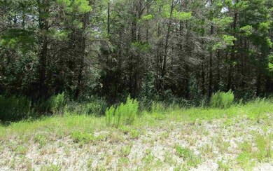 LOT 9 Seameadows Dr, Perry, FL 32348 - photo 4