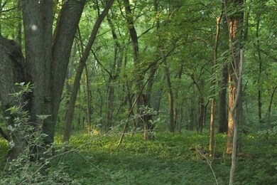 29 Ac Sunrise Rd, Rutland, WI 53575 - photo 3