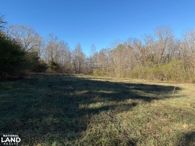 8951 County Rd 11, Florence, AL 35633 - photo 2