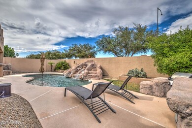 Backyard 1