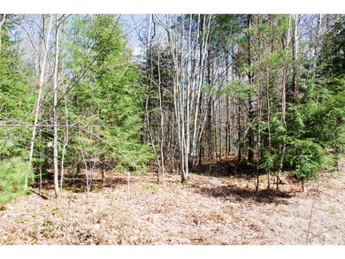 56 Grandview Rd, Conway, NH 03860 - photo 5