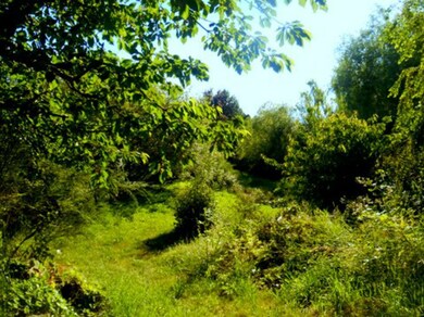 21702 98th Ave W, Edmonds, WA 98020 - photo 6