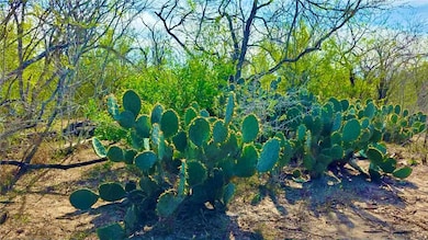 0 0 County Road 107 unit 468634, Runge, TX 78151 - photo 7