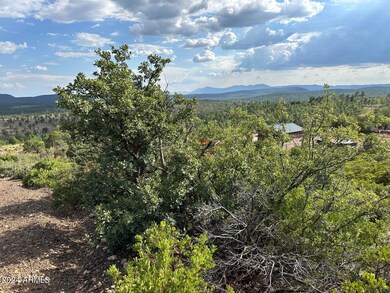 21 N Rockinghorse Bend Rd, Payson, AZ 85541 - photo 3