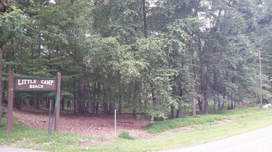 118 Broadmoor Dr, Blooming Grove Township, PA 18428 - photo 3