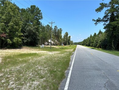 0 Smith Rd unit 1648466, Townsend, GA 31331 - photo 3