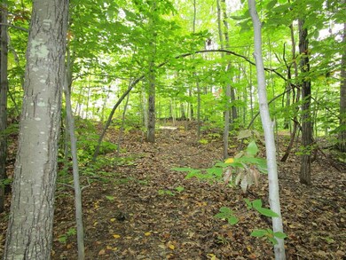 0 Colonial Rd unit 17 4886048, Laconia, NH 03246 - photo 5