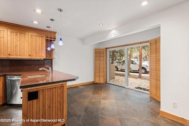 814 W Bleeker St unit E5, Aspen, CO 81611 - photo 7