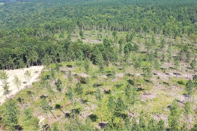 0 Huffman Rd unit 24251649, Sunbright, TN 37872 - photo 5