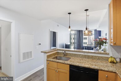 The Eclipse unit 815W, Arlington, VA 22202 - photo 6