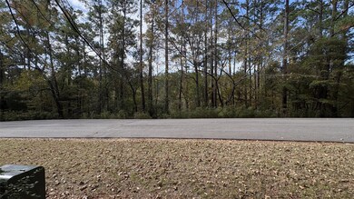 103 Green Tree Dr, Cape Royale, TX 77331 - photo 3