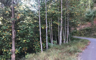 Additional View