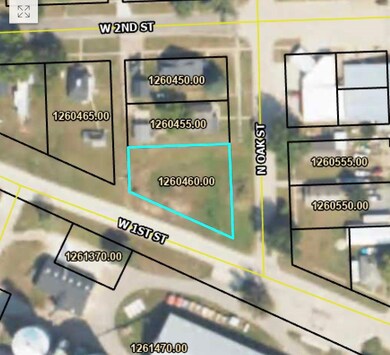 127 N Oak St, Leigh, NE 68643 - photo 5