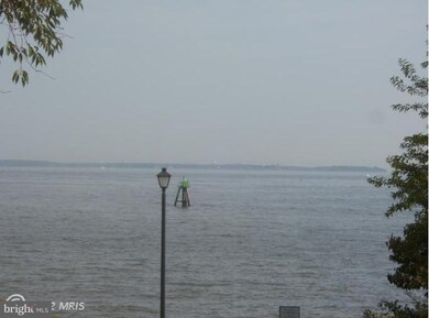 1412 River Mist Ct unit 160, Stoney Beach, MD 21226 - photo 7