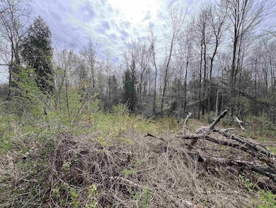 0 Lawrence Rd unit 51016, Moira, NY 12957 - photo 5