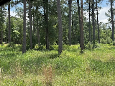 010 Private Road 6028 Tract 1-10, Brookeland, TX 75931 - photo 2