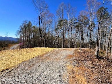 107 Chestnut Mountain Rd, Reliance, TN 37369 - photo 3