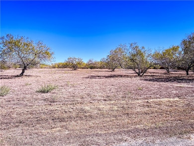 Lot 11 Fm 3376, Alice, TX 78332 - photo 2