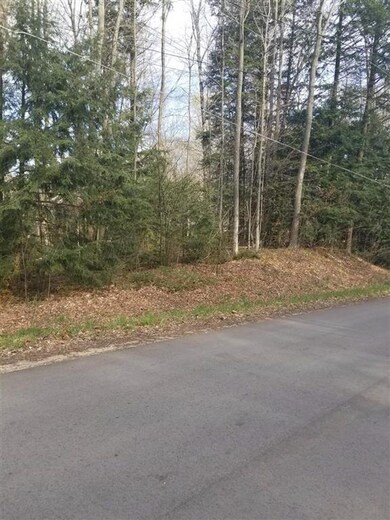 TBD Hemlock Ave, Bay Shore, MI 49720 - photo 4