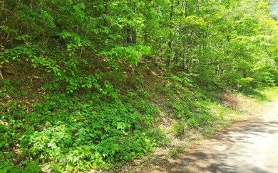 Additional View