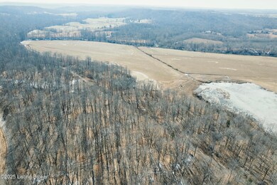 438 Ridenours Way, Falls of Rough, KY 40119 - photo 7