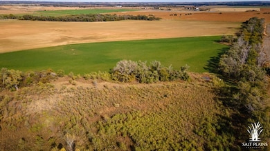 12550, Sharon, KS 67138 - photo 4