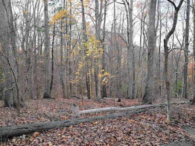 TBD Overlook Ln, Radford, VA 24141 - photo 7