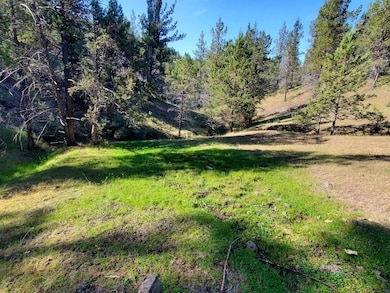 0 Wiley Creek Rd unit 2406 220202660, Mount Vernon, OR 97865 - photo 4