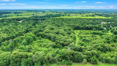 19091 Fm 678, Whitesboro, TX 76273 - photo 3