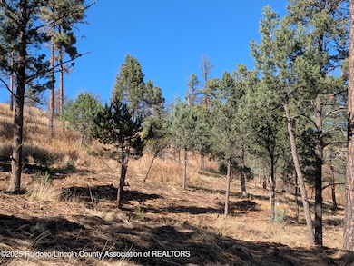 117 San Juan Rd, Ruidoso, NM 88345 - photo 3