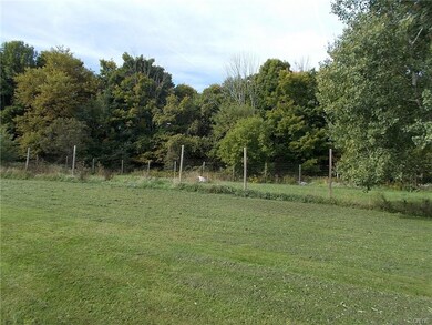 Fenced in pet area and woods all part of the 5 acr