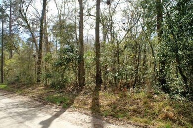 0 Chippewa Rd unit 278477, Crawfordville, FL 32327 - photo 6