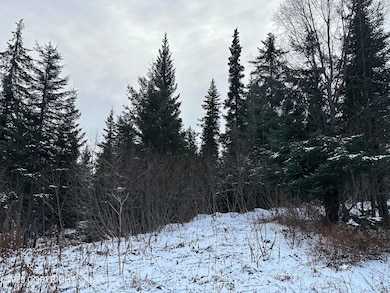 000 Old Sterling Hwy, Anchor Point, AK 99556 - photo 2