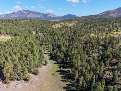 27.5 Acres Jemez Mountain Forest Rd 10, Jemez Springs, NM 87025 - photo 5