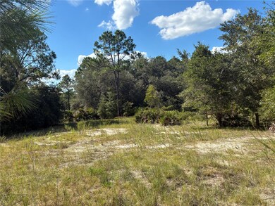 0 SW South Wind Ct unit MFROM709010, Dunnellon, FL 34431 - photo 4
