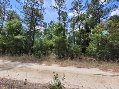 View of lot