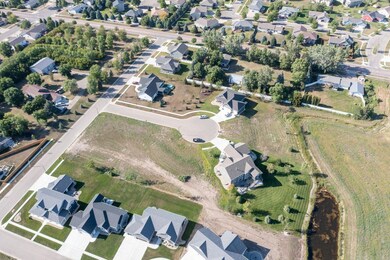 Drone View