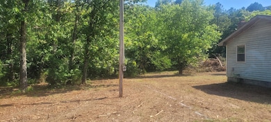 14730 Boiling Springs Rd, Licking, MO 65542 - photo 7