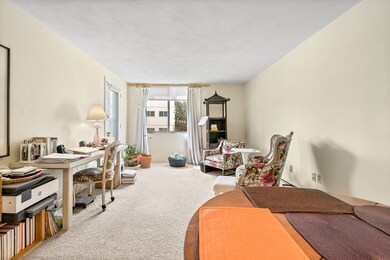 321 Harvard St unit 206, Cambridge, MA 02139 - photo 4