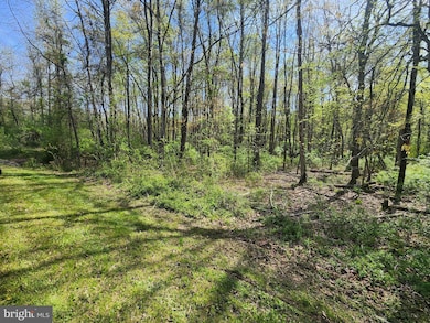 0 Fish Hatchery Rd unit MDKE2004754, Chestertown, MD 21620 - photo 5